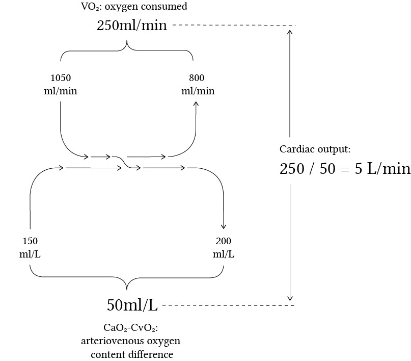 Fick's Principle of cardiac output measurement Deranged Physiology